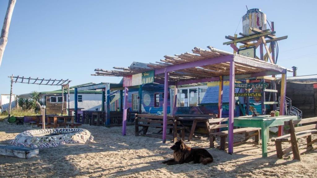 Lobo Hostel Bar Cabo Polonio Eksteriør bilde